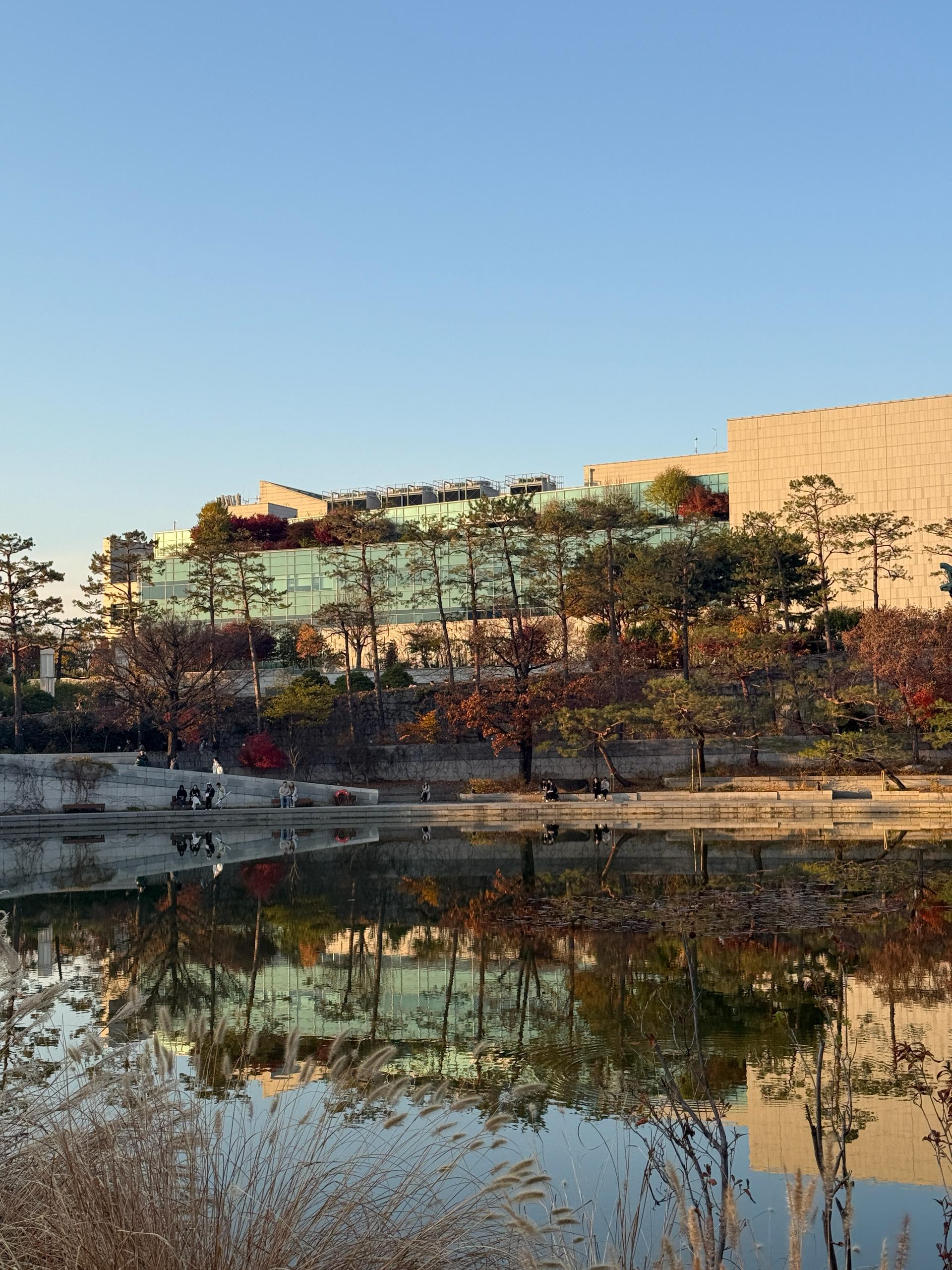 🇰🇷 Южная Корея — фото 4