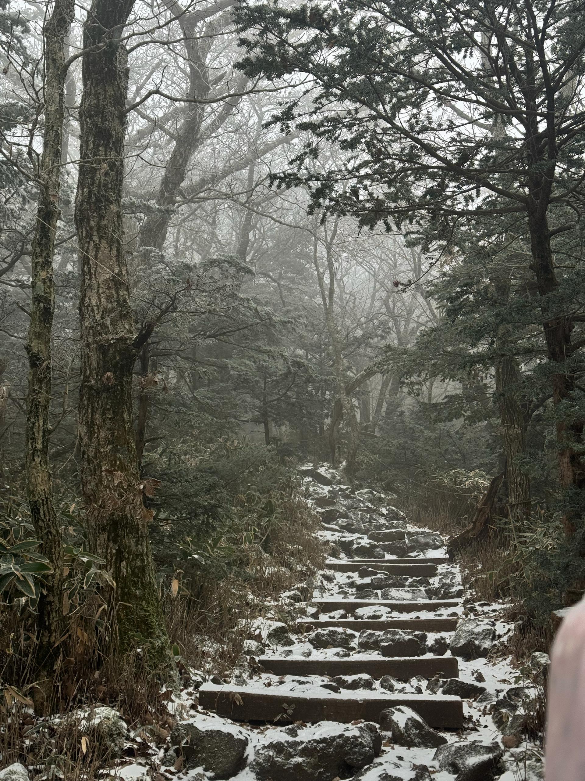 🏔️ Хайк на Халласан — фото 3