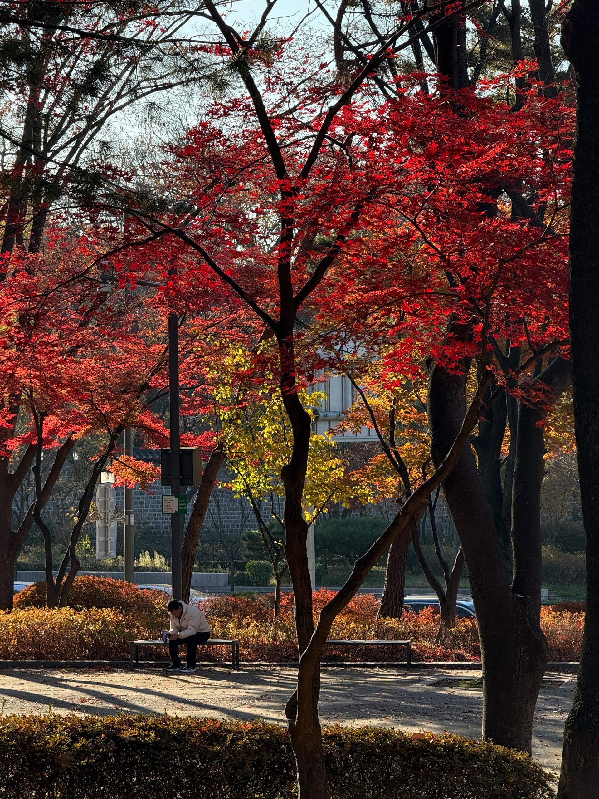 🇰🇷 Южная Корея — фото 4